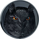 Palau 2023 25$ EAGLE OWL Hunters By Night 500g Special Edition Silver Coin Reverse