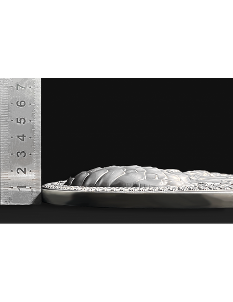 Tchad 2024 10000 CFA Francs GUAN YIN Thousand-armed Thousand-eyed Bodhisattva of Compassion Antique Silver Approx. 1.3 Kilos Side View of Rim and Relief Height