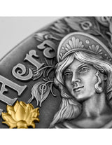 A close-up photo of the antique silver coin showing the profile of the Greek goddess Hera. Her serene facial features and detailed hair are sculpted in high relief, positioned right next to the brilliant yellow gold-plated flower sitting atop her scepter.