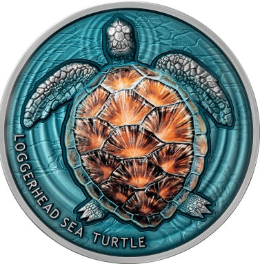 Niue 2023 $2 Loggerhead Sea Turtle Lifelong Journey  oz Antique Finish Silver Coin 500 Made Reverse