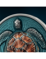 Niue 2023 $2 Loggerhead Sea Turtle Lifelong Journey  oz Antique Finish Silver Coin 500 Made Detail of Reverse