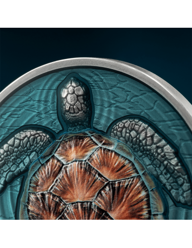 Niue 2023 $2 Loggerhead Sea Turtle Lifelong Journey  oz Antique Finish Silver Coin 500 Made Detail of Reverse