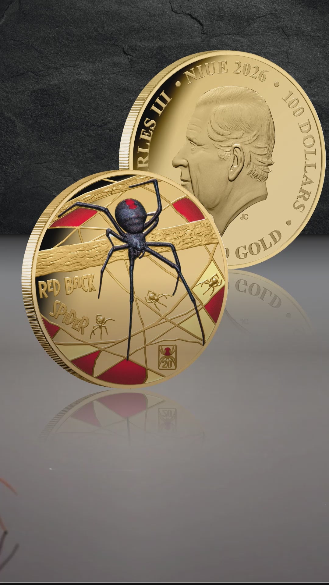 Niue 2026 $100 Redback Spider Privy Mark 1oz Gold Video Vertical Format - FORTYMILLION