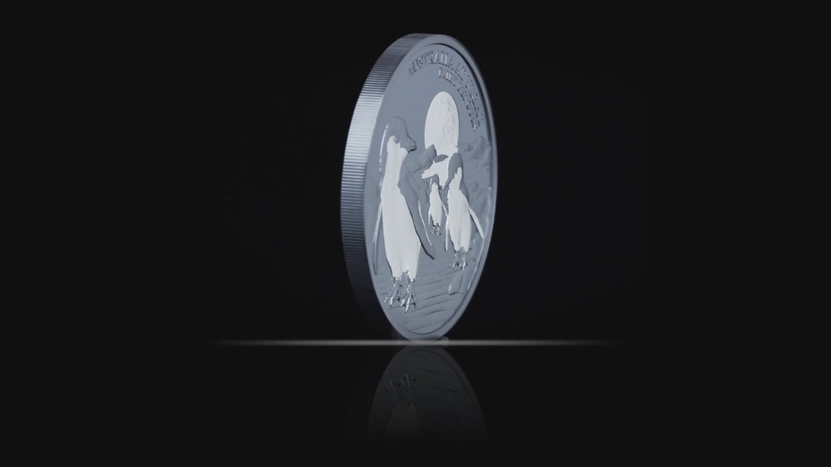 #111 CERTIFICATE Niue 2024 $1 Australia at Night Fairy Penguins 1oz Silver Black Proof Coin