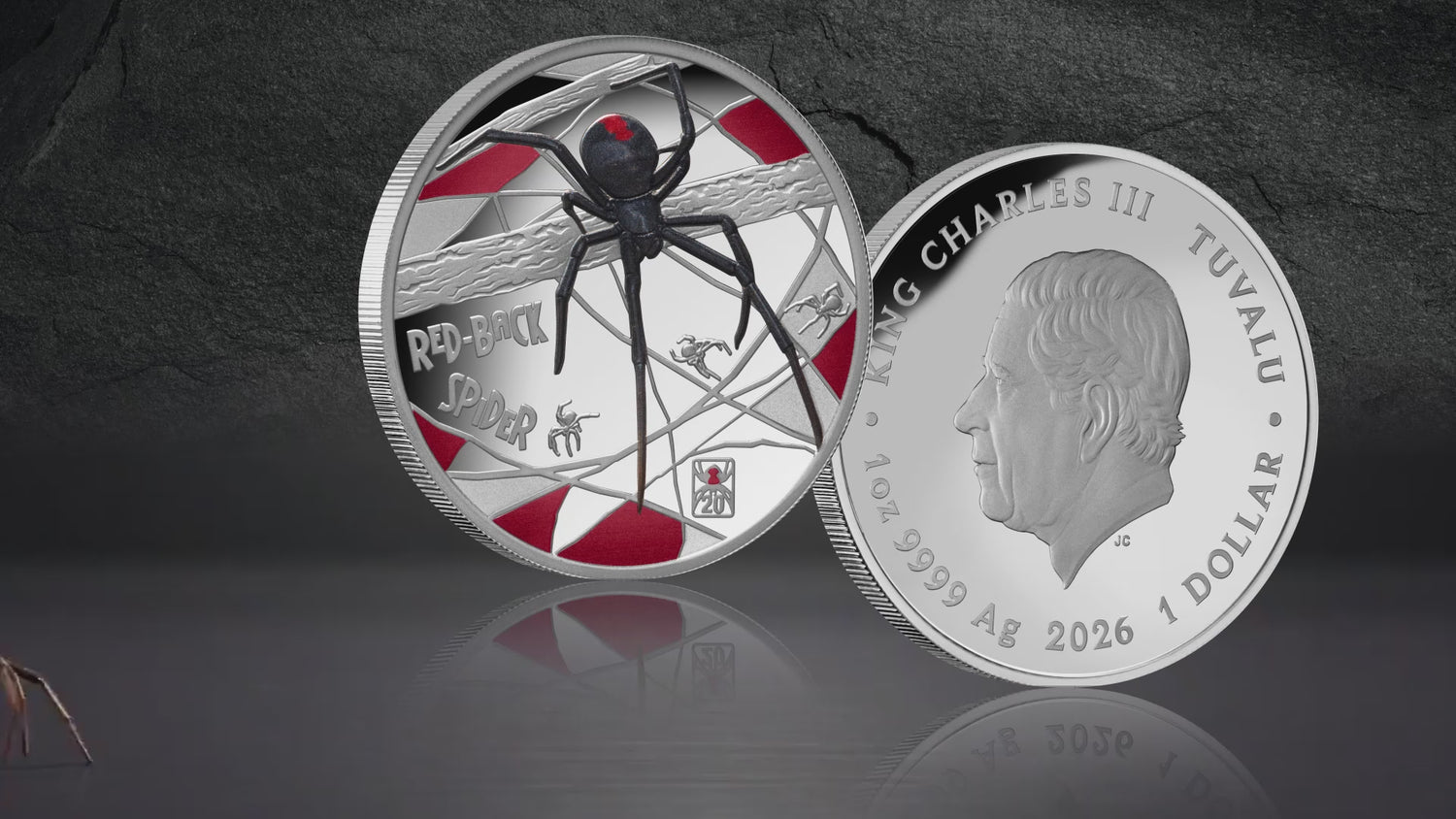 Tuvalu 2026 Redback Spider .999 Silver Video