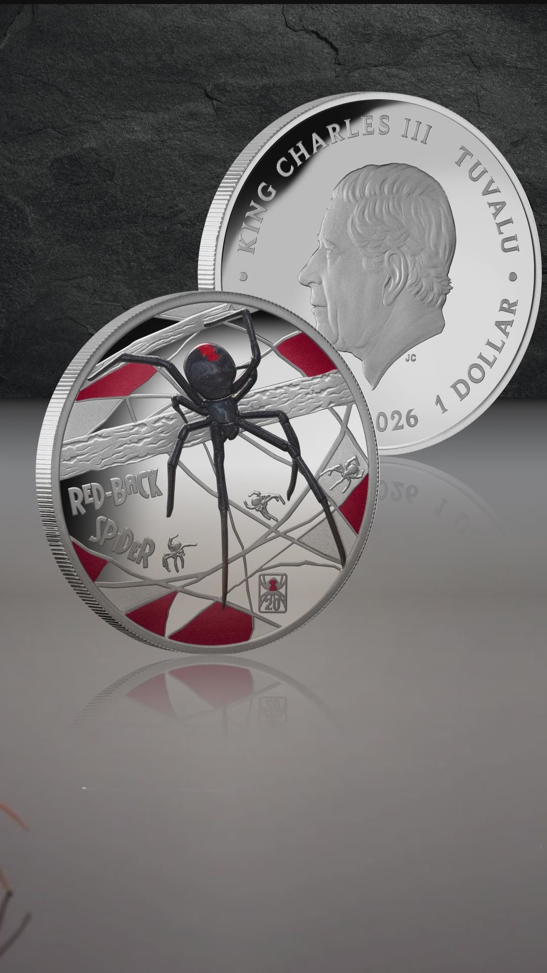 Tuvalu 2026 Redback Spider.999 Silver Proof Video