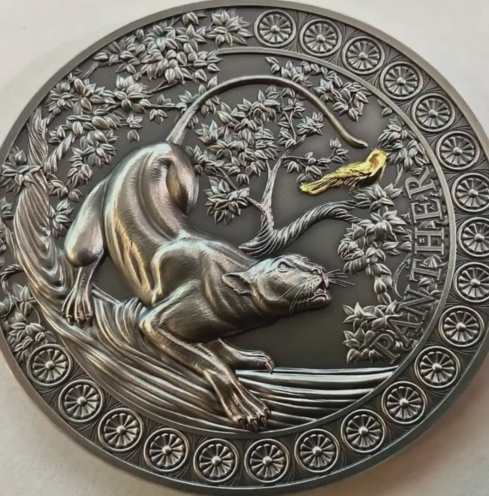 A video of the Ghana 2022 Panther coin where anilmation brings the coin to life showing the golden bird flying off in a hurry losing some feathers as the Panther leaps of his branch in the tree and  after it.