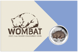 2023 Australian Wombat 1oz .9999 Silver Coloured Coin in Card Perth Mint