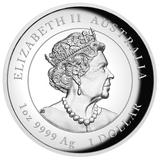 Australia 2023 $1 Year of the Rabbit 1oz Silver Proof High Relief Coin - Lunar Series III Perth Mint