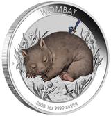 2023 Australian Wombat 1oz .9999 Silver Coloured Coin in Card Perth Mint