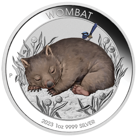 2023 Australian Wombat 1oz .9999 Silver Coloured Coin in Card Perth Mint