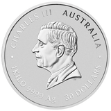 Australia 2025 $30 Year of the Snake 1 kilo.9999 Silver Coloured Coin with Gold Privy Mark PERTH MINT