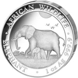 Somalia 2022 100 Shillings Somalian Elephant 1oz 99.99% Pure Silver High Relief Proof Coin
