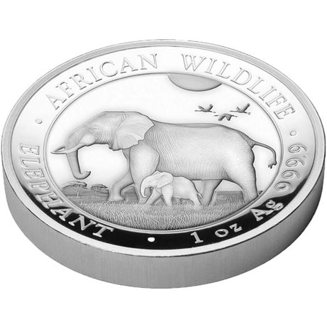 Somalia 2022 100 Shillings Somalian Elephant 1oz 99.99% Pure Silver High Relief Proof Coin