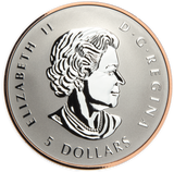 2022 Canada Silver Maple Leaf Fractional Year Set 35th Anniversary Silver Maple Leaf 5 Coins Silver $5 Obverse