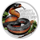 Niue 2022 $1 Deadly & Dangerous Red-Bellied Black Snake Coloured 1oz 99.99% Silver Proof Coin