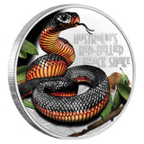 Niue 2022 $1 Deadly & Dangerous Red-Bellied Black Snake Coloured 1oz 99.99% Silver Proof Coin