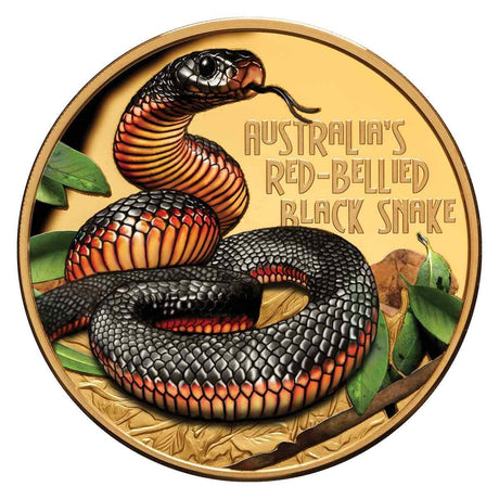 Niue Deadly & Dangerous Red-Bellied Black Snake 2022 $100 Coloured 1oz Gold Proof Coin