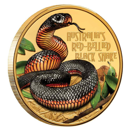 Niue Deadly & Dangerous Red-Bellied Black Snake 2022 $100 Coloured 1oz Gold Proof Coin