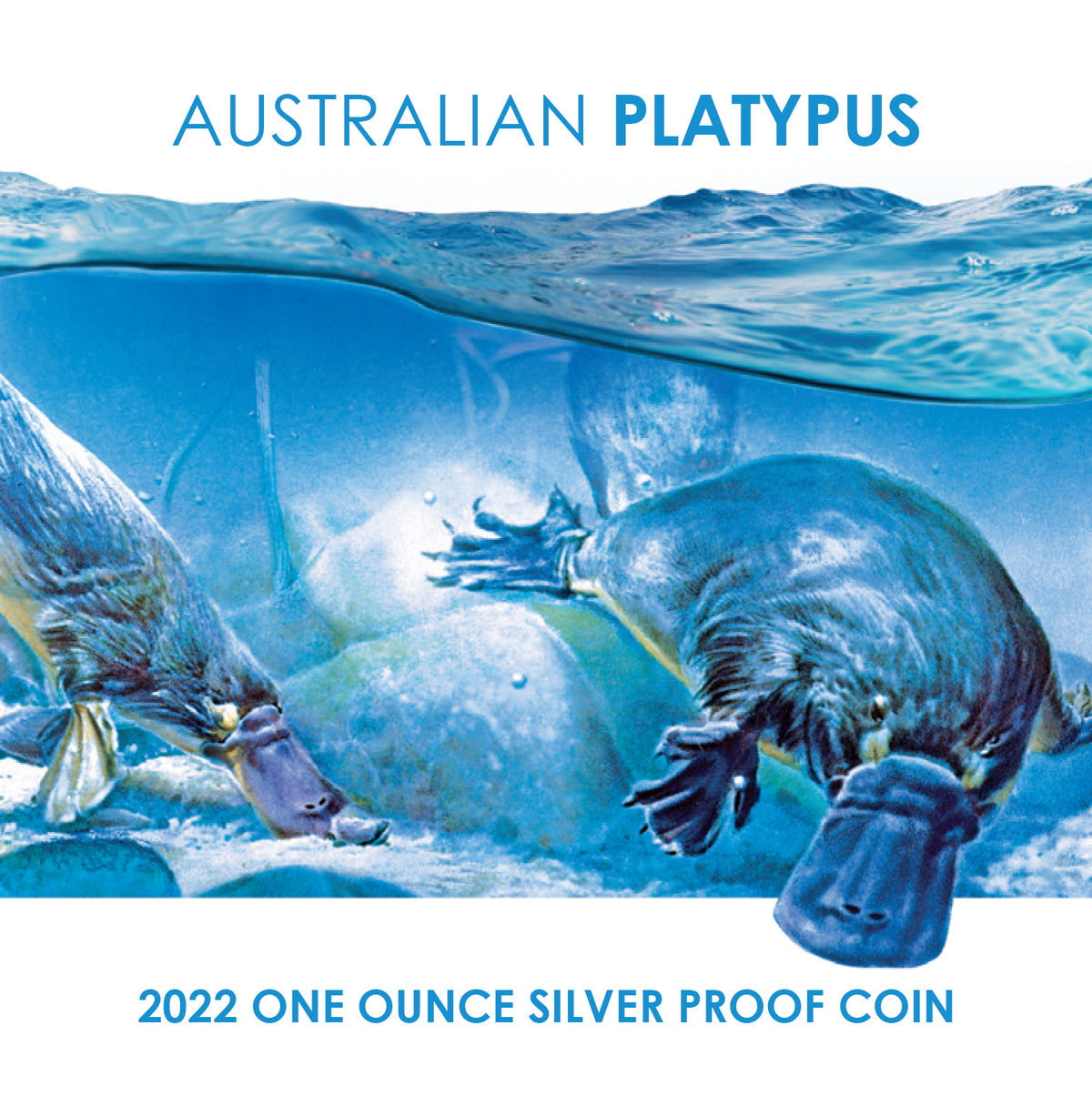 Niue 2022 $1 Platypus 1oz Coloured Silver Proof Coin