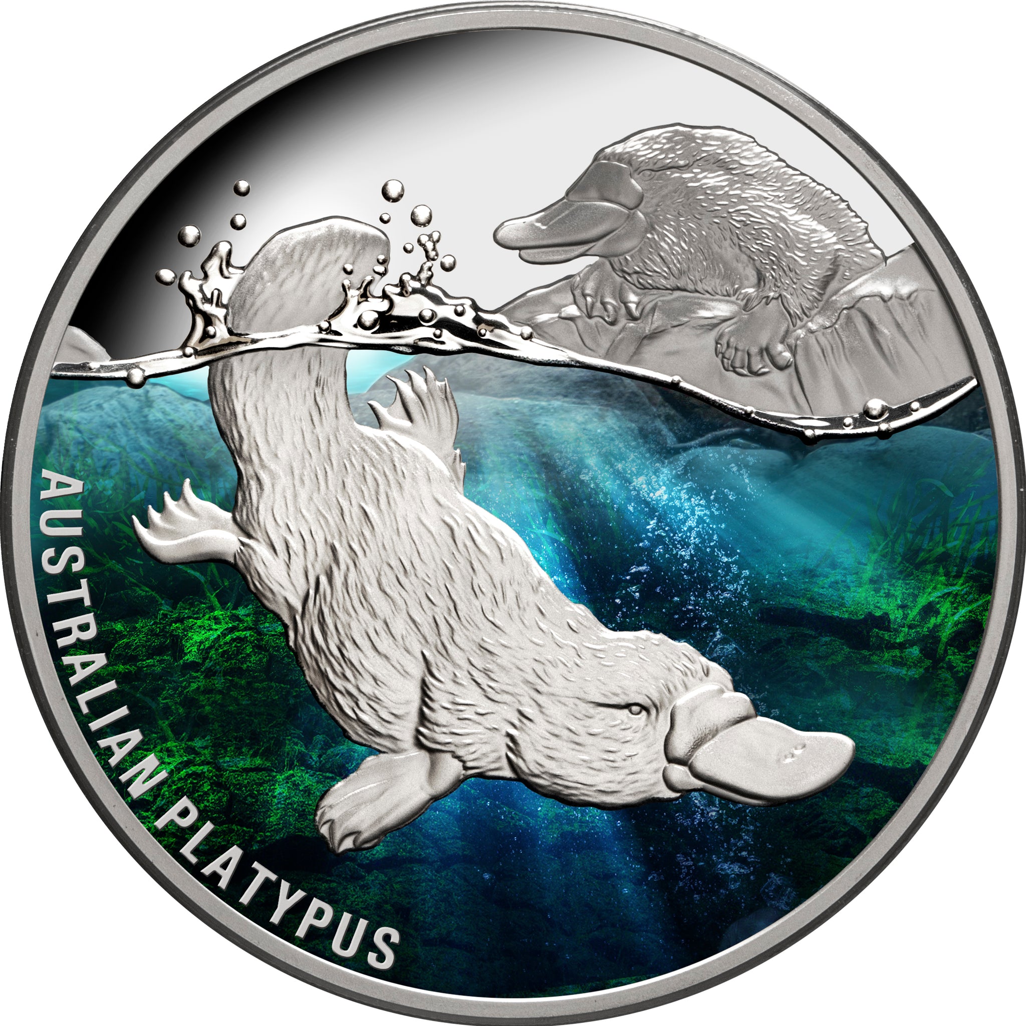 限定 オーストラリア コイン 銀貨 PIEDFORT PLATYPUS 10oz