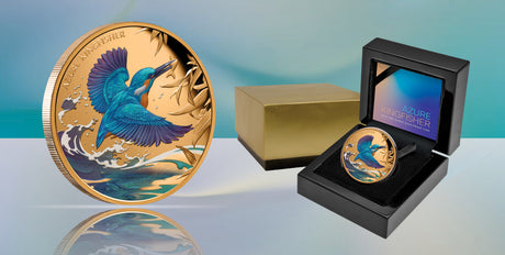 Niue 2023 $1 Azure Kingfisher Gold 1oz .9999 Coloured Proof Coin