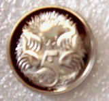 Australia 1996 5 Cent Proof Echidna