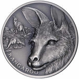 Niue 2021 $1 Kangaroo 1oz Silver Antique Coin