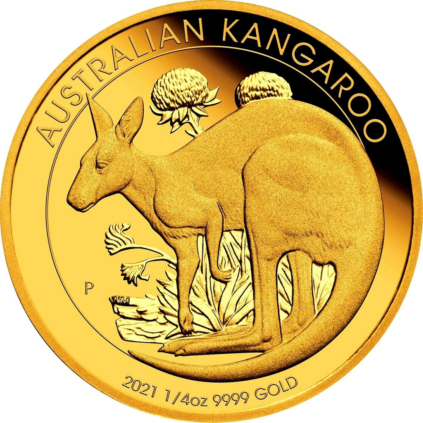 Australia 2021 $25 Proof Kangaroo 1/4oz Gold – fortymillioncoins