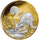 Niue 2020 $100 Proof Australia At Night Kangaroo 1 Oz Gold Platinum Plate