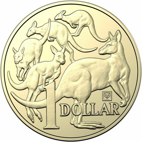 Australia 2019 $1 Uncirculated Panda Privy Mark Beijing Coin Expo Mob of Roos