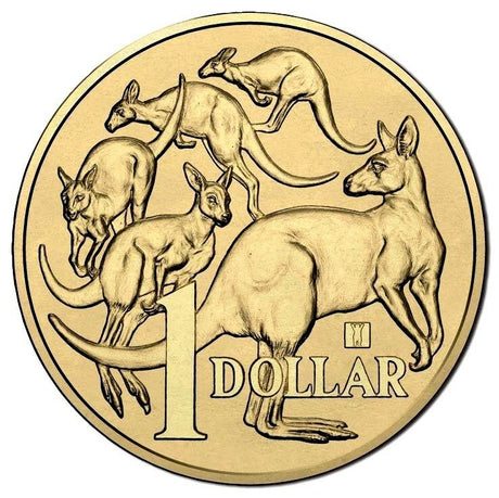Australia 2016 $1 Uncirculated World Money Fair Mob of Roos Buddy Bear Privy Mark Carded