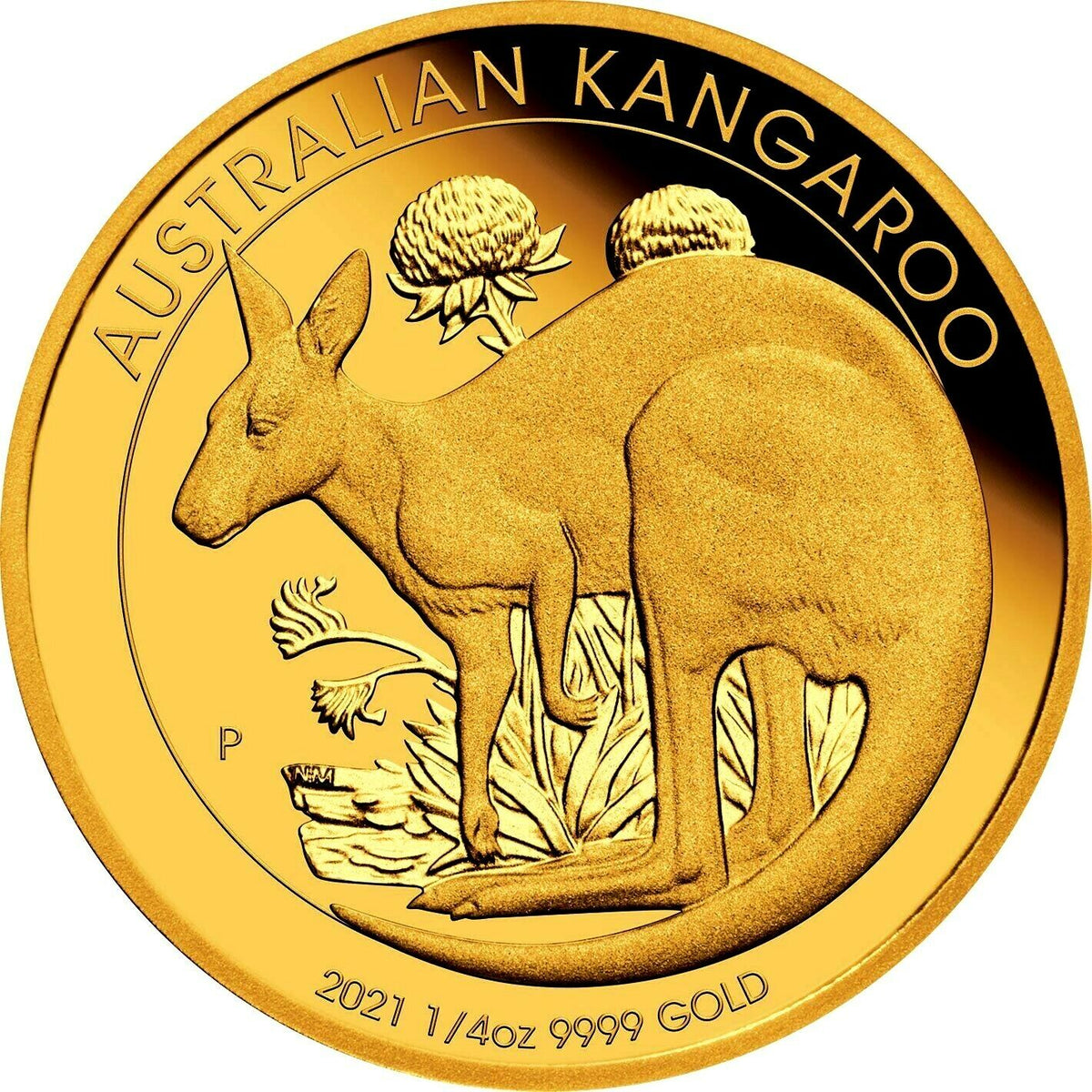 Australia 2021 $25 Proof Kangaroo 1/4oz Gold