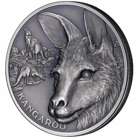 Niue 2021 $1 Kangaroo 1oz Silver Antique Coin