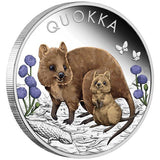 Australia 2022 $1 Quokka 1oz Silver Proof Coloured Coin Perth Mint