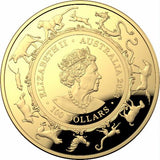 Australia 2023 $100 Domed Gold Proof Coin - Lunar calendar - Year of the Rabbit