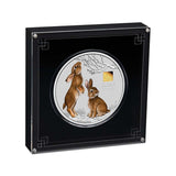 Australian Lunar Series III 2023 $30 Year of the Rabbit 1 Kilo Silver with 1 Gram Gold Privy Mark Coin Perth Mint