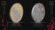 Solomon Islands 2023 $25 Lunar Rabbit Platinum Plated 1oz Gold Proof Coin