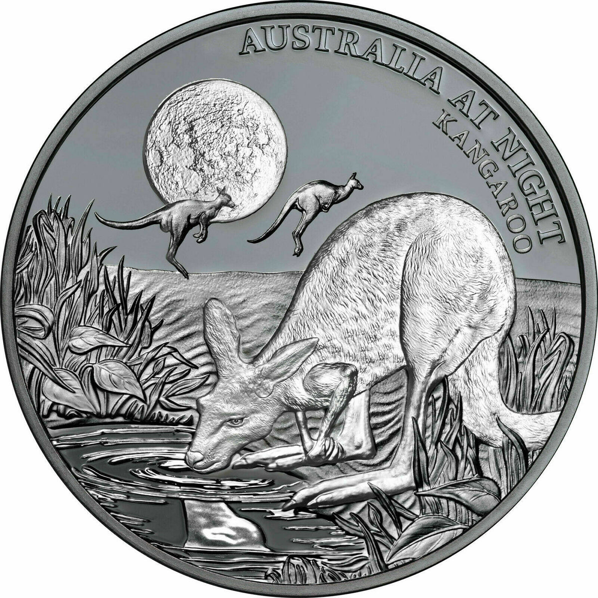 Niue 2019 $1 Australia at Night Kangaroo 1oz Silver Black Proof