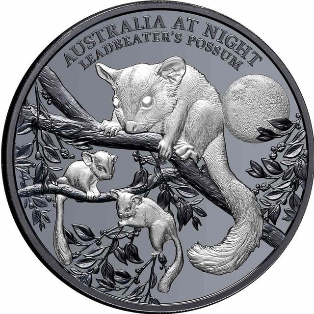 A collectible coin with an image of Leadbeater's Possum on it, from the Australia at Night series, with a black proof finish.