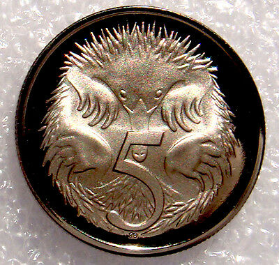 A close-up of a proof coin with an embossed image of an echidna and the number 5 on it.