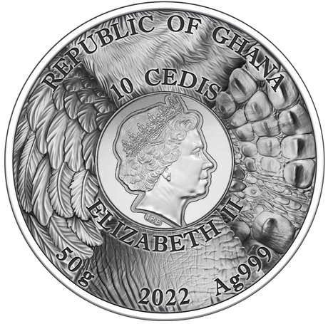Ghana 2022 10 Cedis Panther Hunting in the Wild Selectively Gilded 2 oz .999 Antique Silver Coin Obverse