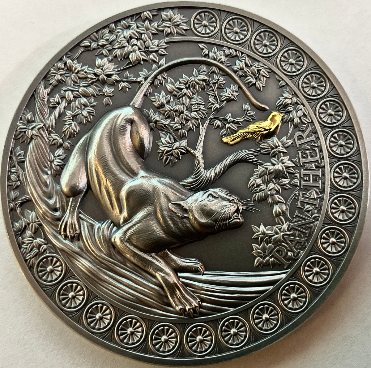 Ghana 2022 10 Cedis Panther Hunting in the Wild Selectively Gilded 2 oz .999 Antique Silver Coin Copyright Atje Hjort