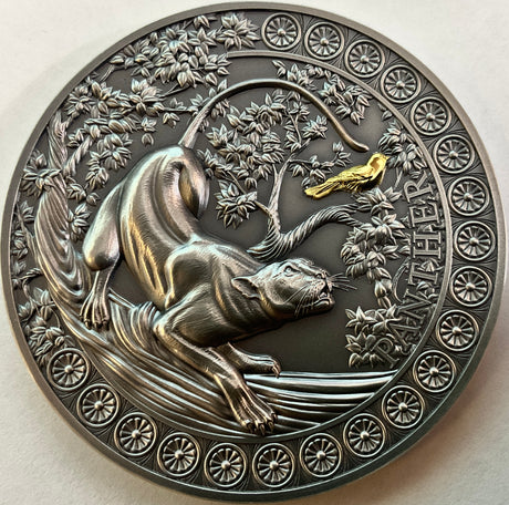 Ghana 2022 10 Cedis Panther Hunting in the Wild Selectively Gilded 2 oz .999 Antique Silver Coin Copyright Atje Hjort