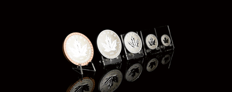 2022 Canada Silver Maple Leaf Fractional Year Set 35th Anniversary Silver Maple Leaf 5 Coins Silver Gift Set