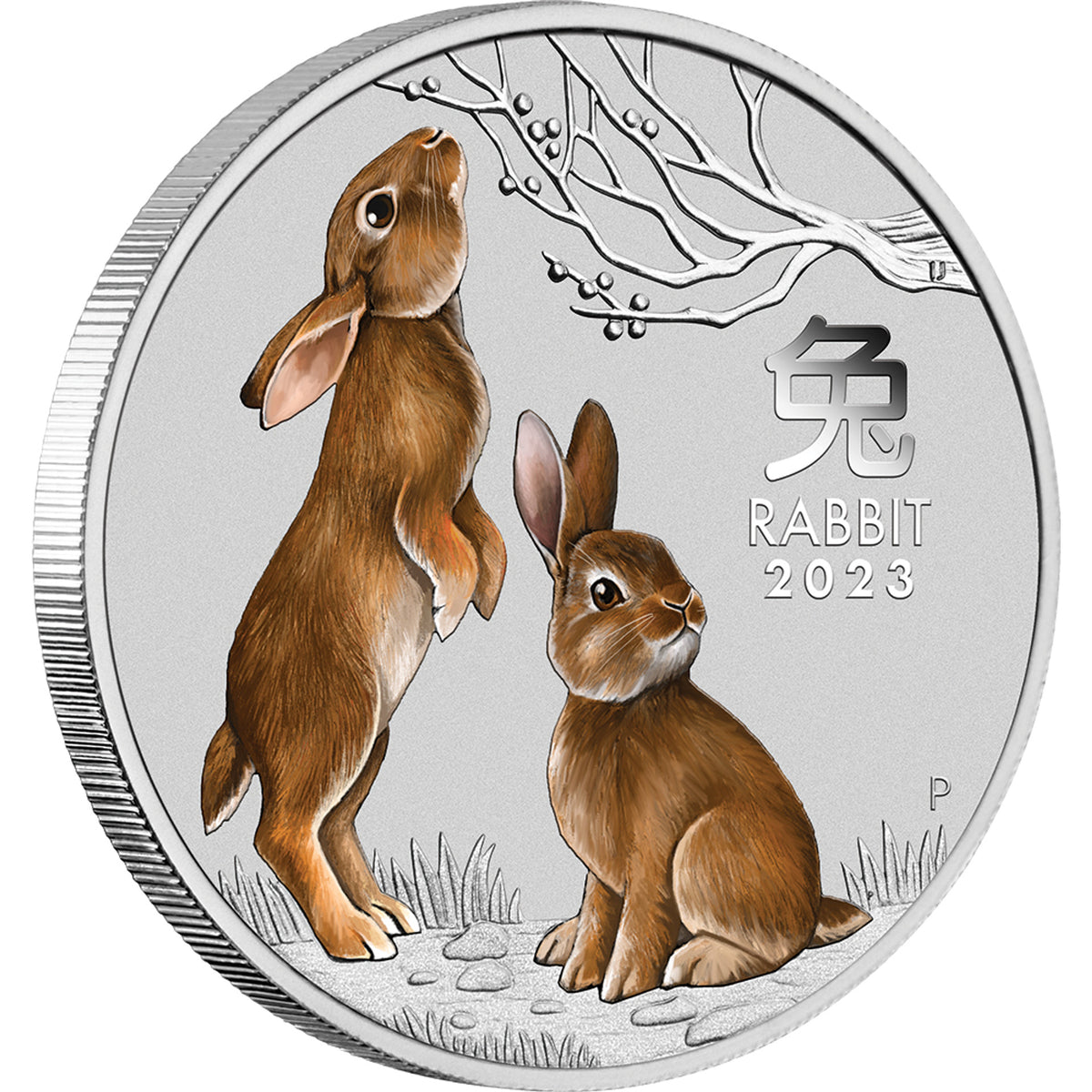 Australia 2023 25 cent Sydney Money Expo Special Year of the Rabbit 1/4oz 99.99% Silver Coloured Coin Perth Mint