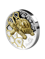 Cameroon 2022 1000 Francs Be Strong Turtle 1 Oz Silver Gold-plated