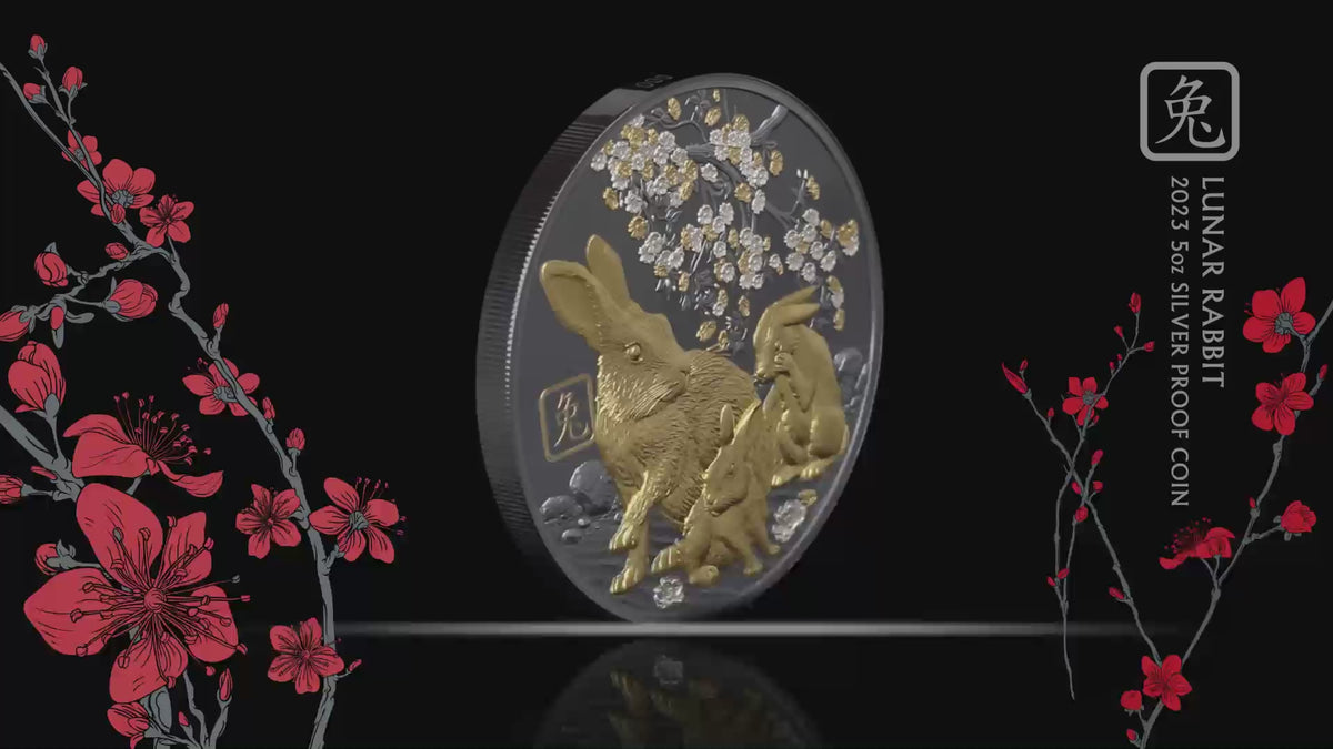 Solomon Islands 2023 $10 Lunar Rabbit 5oz Silver Black-Proof Coin ...