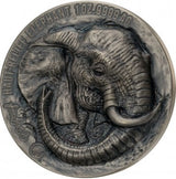 Ivory Coast 2022 1000 Francs Elephant -Big Five 1 Oz Antique Silver Coin