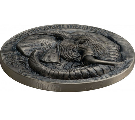 Ivory Coast 2022 1000 Francs Elephant -Big Five 1 Oz Antique Silver Coin